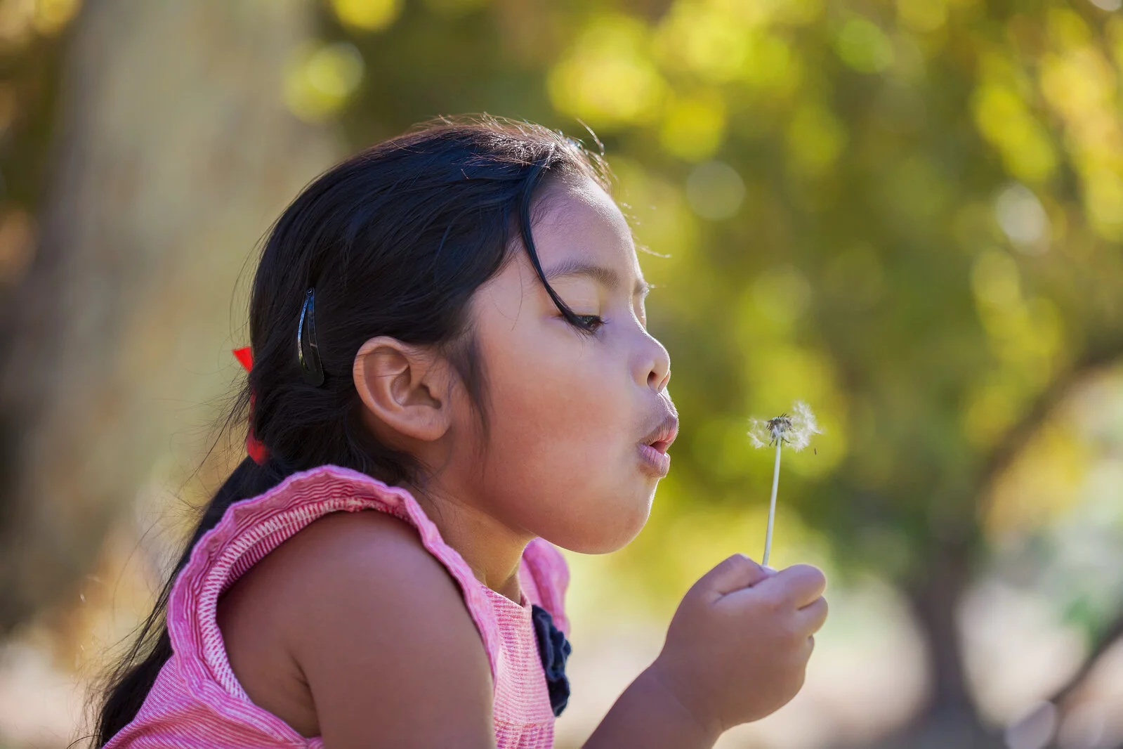 A little kid that has blown a dandelion bloom on a single breath and is spreading the seeds into the air.